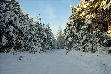 《方舟生存飞升》更新路线图公开，大逃杀模式本月上线